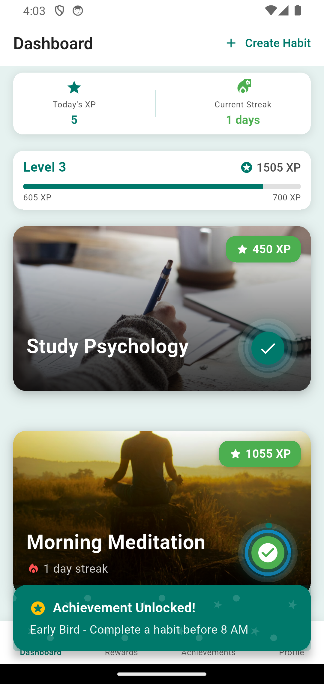 FlareHabit Dashboard